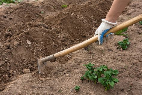 hoes tube|Types Of Garden Hoes .